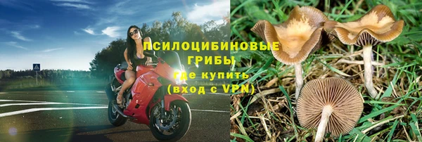 марки lsd Бородино