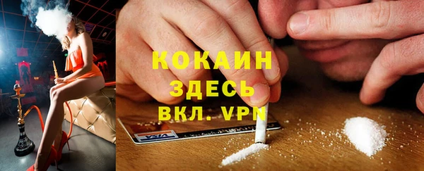 марки lsd Бородино