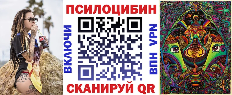Купить закладки  Закаменск  Псилоцибиновые грибы Magic Shrooms 